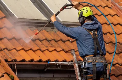 Démoussage et hydrofuge de toiture à Lentilly